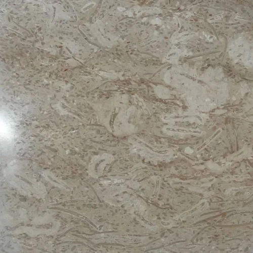 Tavera Premium Flooring Tile